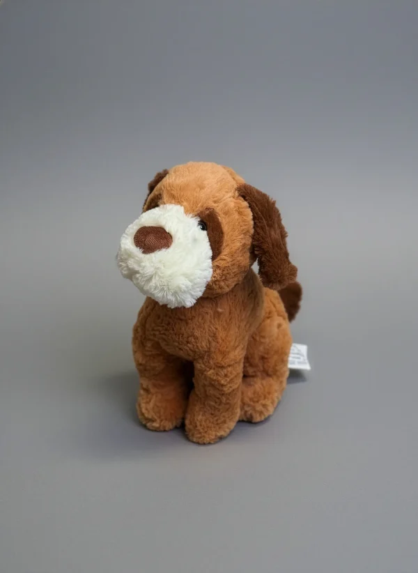 Cățel Maro cu Bot Alb